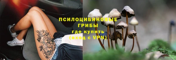 гашик Баксан