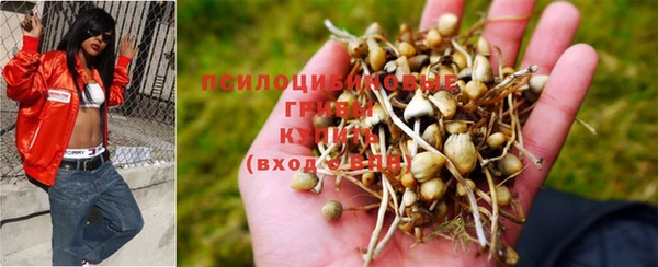 ECSTASY Балабаново