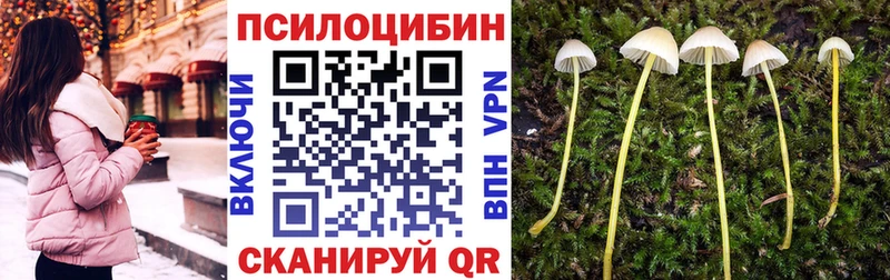 даркнет сайт  Гай  Галлюциногенные грибы мухоморы 